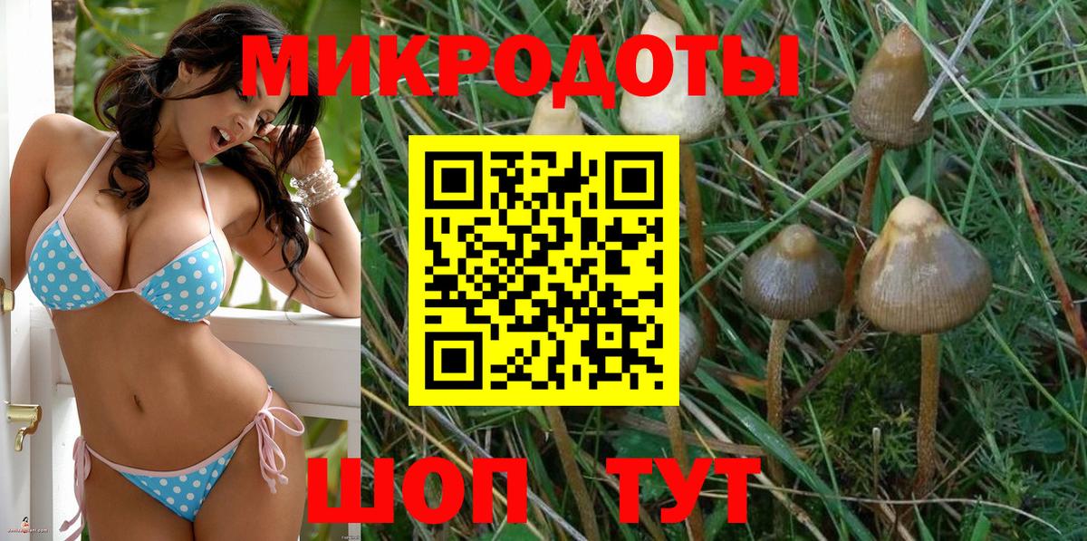 Набережные Челны  Галлюциногенные грибы Magic Shrooms  Вход с VPN  Псилоцибиновые грибы мухоморы 