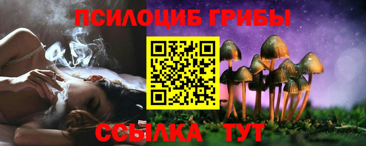Псилоцибиновые грибы MAGIC MUSHROOMS Набережные Челны